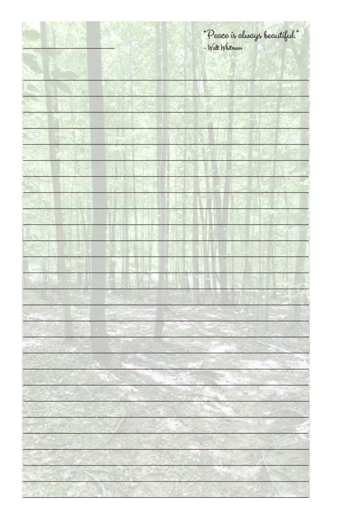 Woods Journal — inside page 2