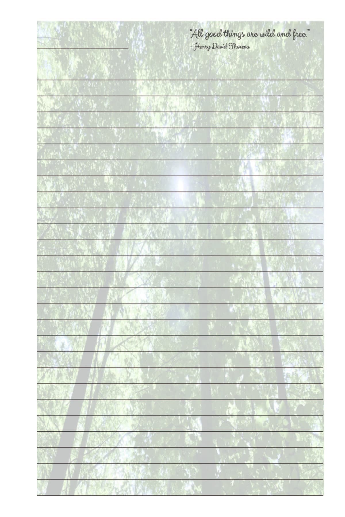 Woods Journal — inside page 3